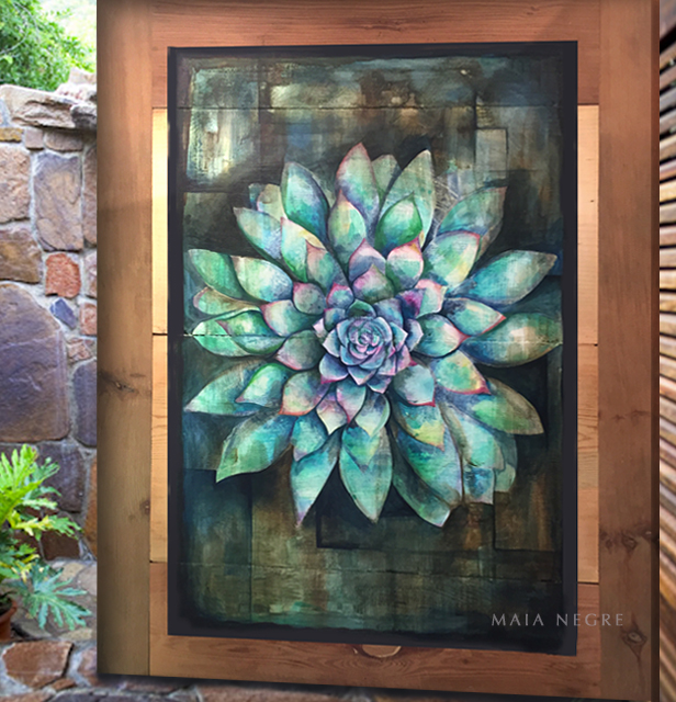 Succulent_MaiaNegre